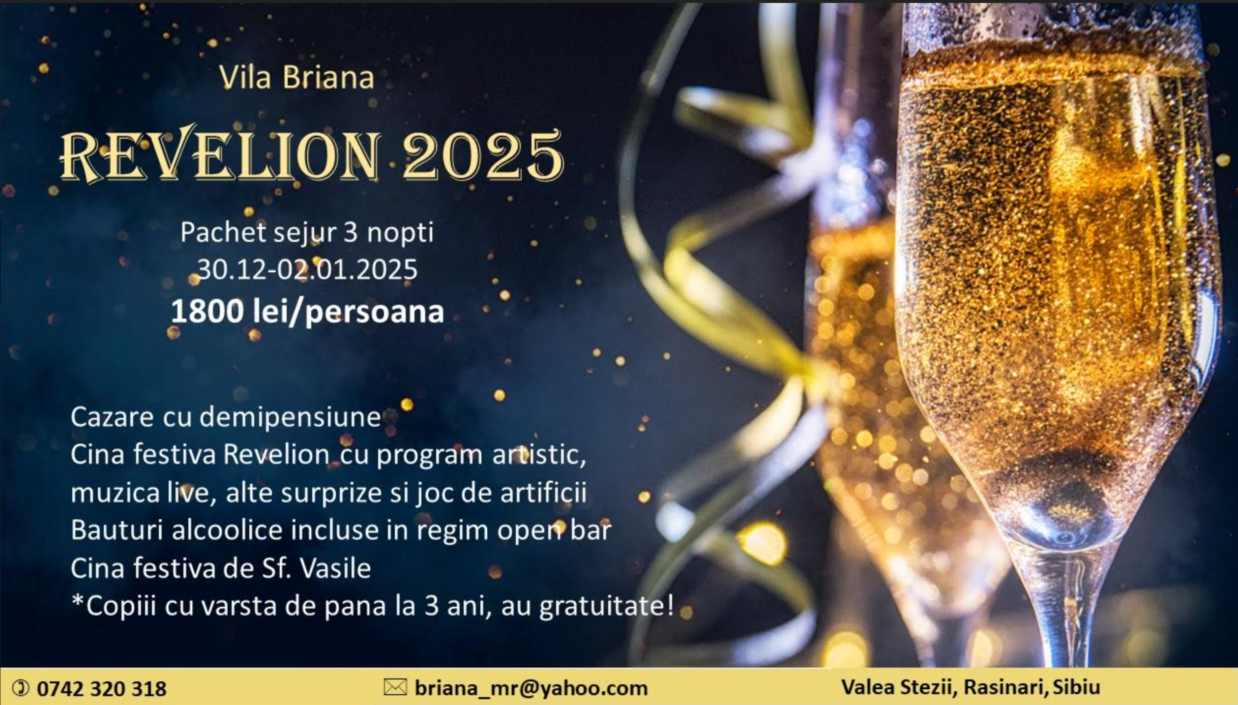 Oferta Revelion 2025 Vila Briana